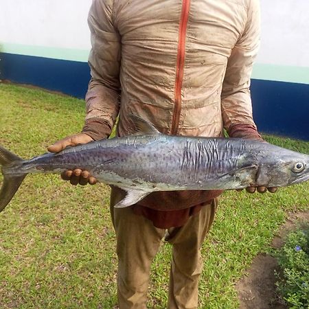 Residence Callens Kribi Kültér fotó