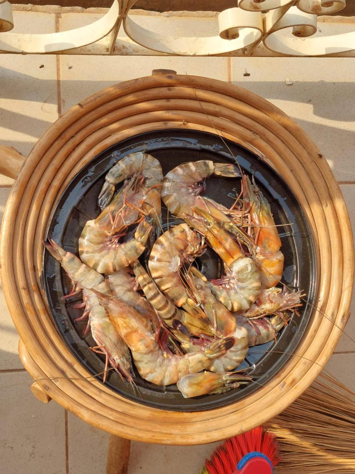 Residence Callens Kribi Kültér fotó
