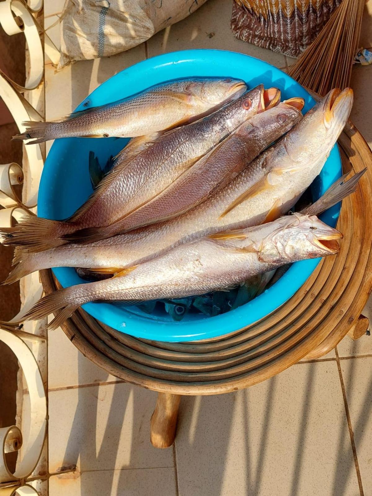 Residence Callens Kribi Kültér fotó