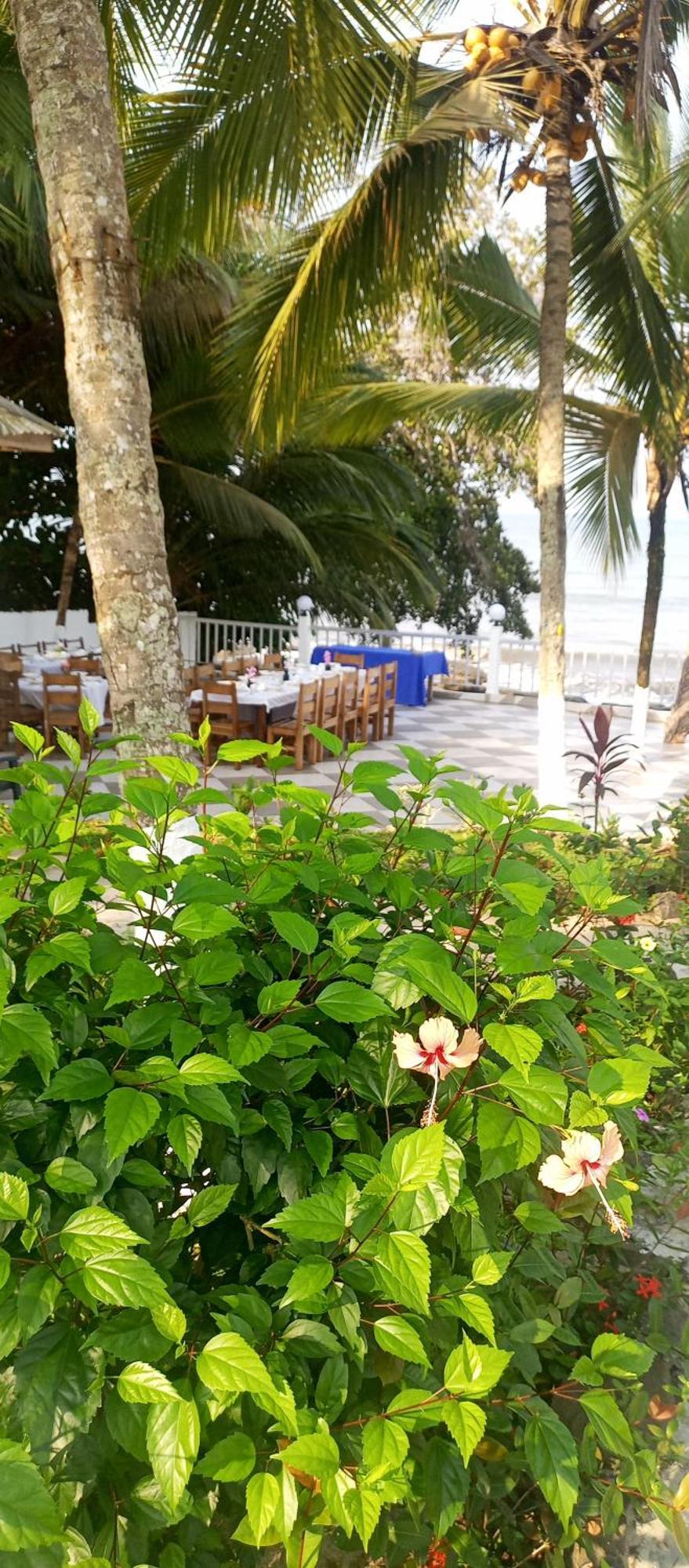 Residence Callens Kribi Kültér fotó